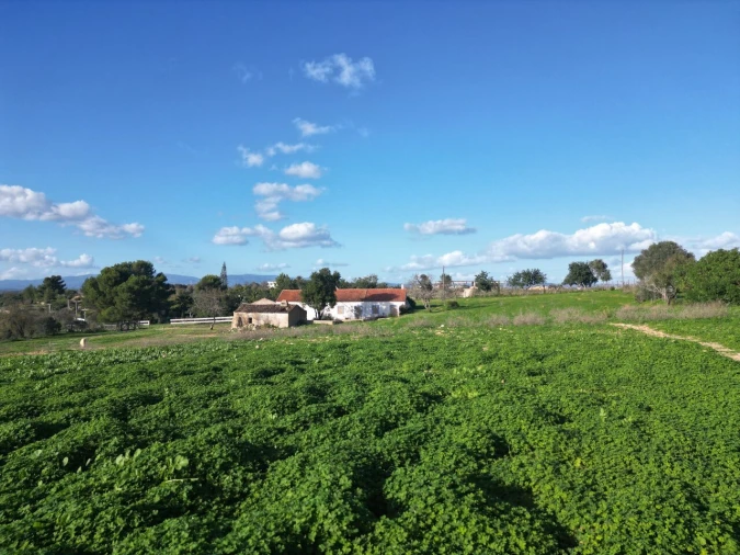 Terreno para Venda em Lagoa e Carvoeiro Foto 9