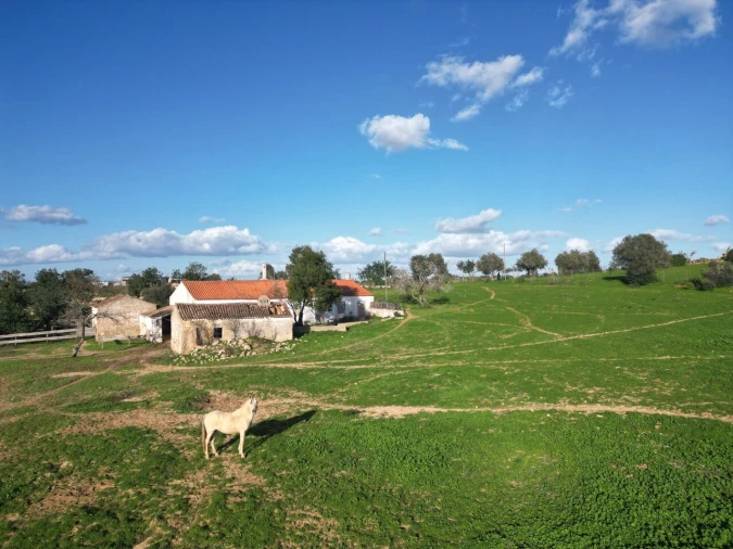 Terreno para Venda em Lagoa e Carvoeiro Foto 7
