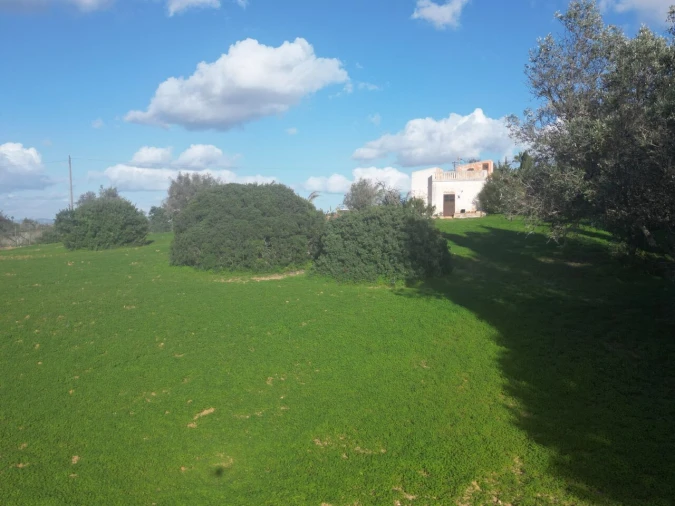 Terreno para Venda em Lagoa e Carvoeiro Foto 17