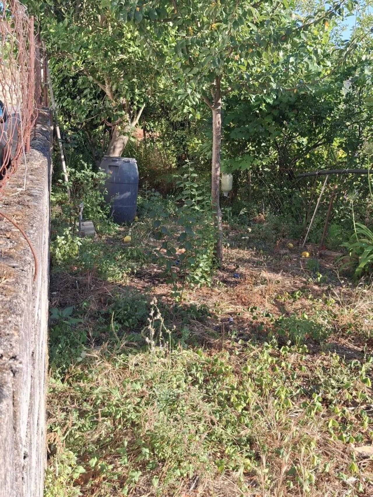 Moradia T3 para Venda em Ceivães e Badim Foto 15