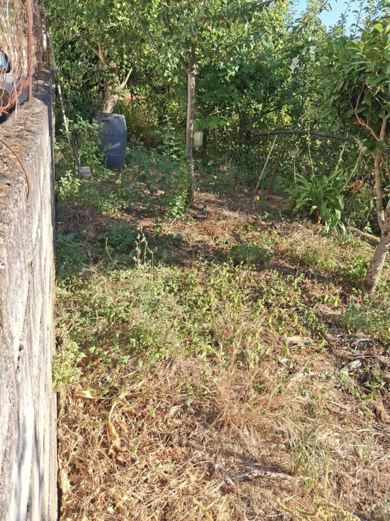 Moradia T3 para Venda em Ceivães e Badim Foto 16