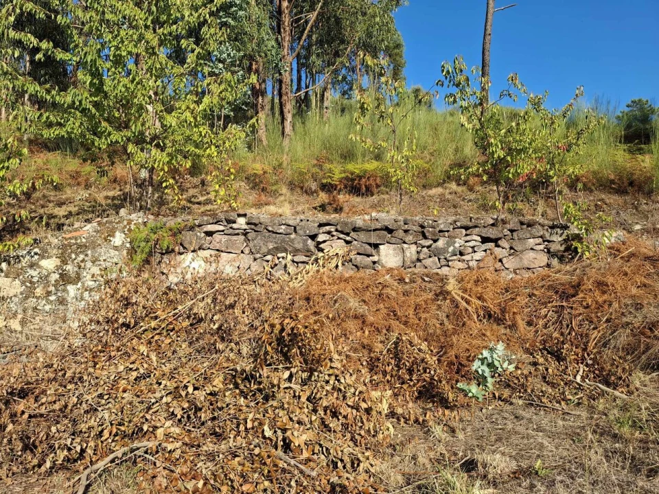 Moradia T2 para Venda em Ceivães e Badim Foto 25