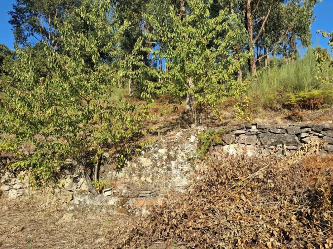 Quinta T2 para Venda em Ceivães e Badim Foto 20