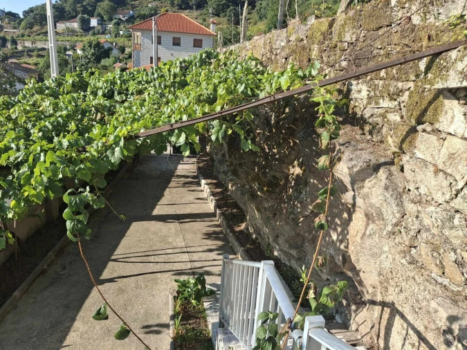 Quinta T2 para Venda em Ceivães e Badim Foto 35