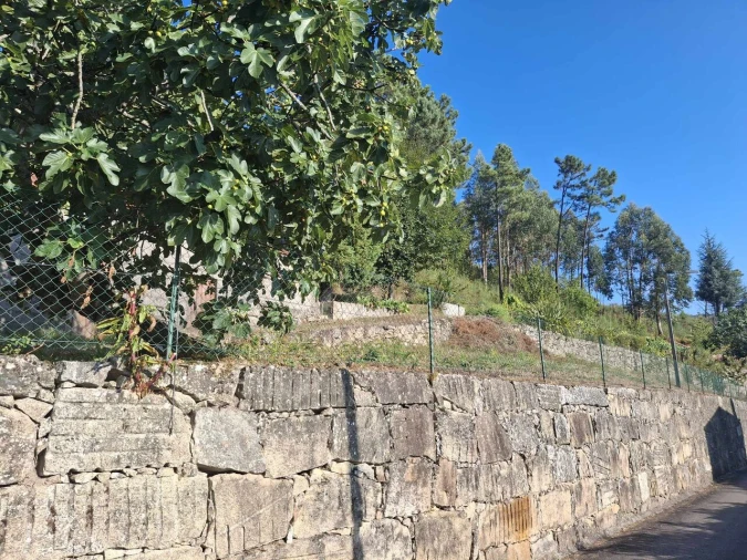 Terreno para Venda em Ceivães e Badim Foto 6
