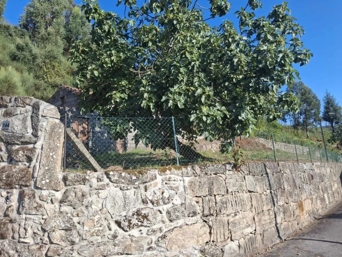 Terreno para Venda em Ceivães e Badim Foto 7