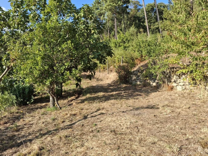 Terreno para Venda em Ceivães e Badim Foto 9