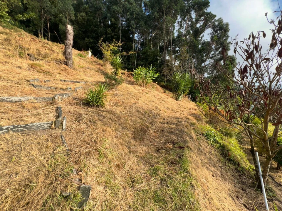 Moradia T4 para Venda em Moledo e Cristelo Foto 19