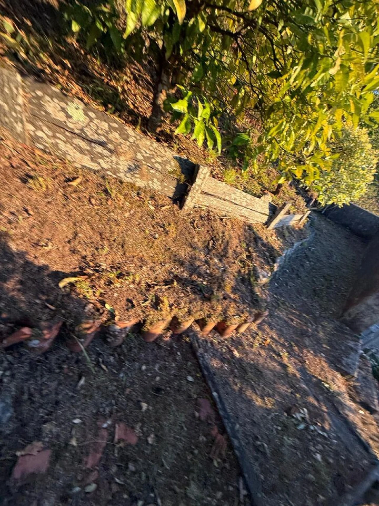 Moradia T4 para Venda em Moledo e Cristelo Foto 50