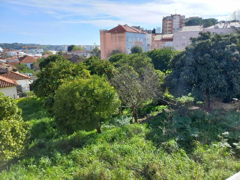 Terreno para Venda em Torres Novas (Santa Maria, Salvador e Santiago) Foto 6