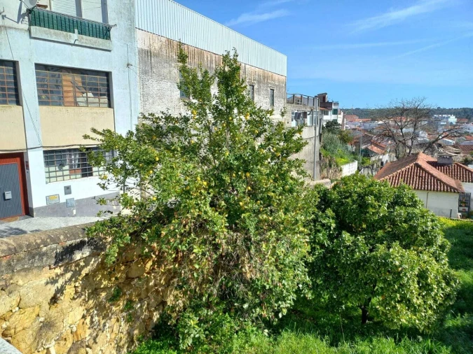 Terreno para Venda em Torres Novas (Santa Maria, Salvador e Santiago) Foto 3