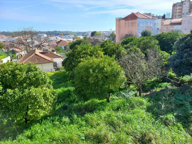 Terreno para Venda em Torres Novas (Santa Maria, Salvador e Santiago) Foto 4