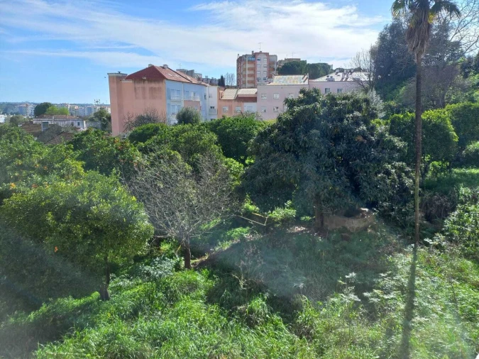 Terreno para Venda em Torres Novas (Santa Maria, Salvador e Santiago) Foto 5