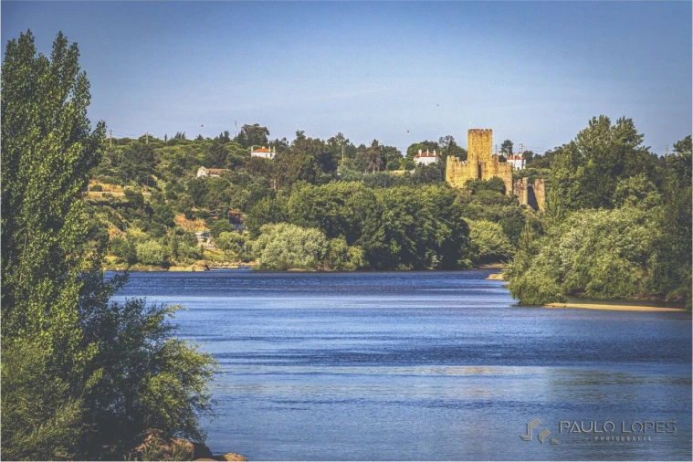 Loja para Venda em Carregueira Foto 5