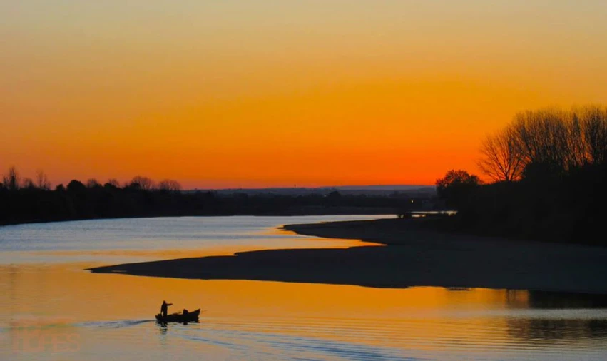 Loja para Venda em Carregueira Foto 7