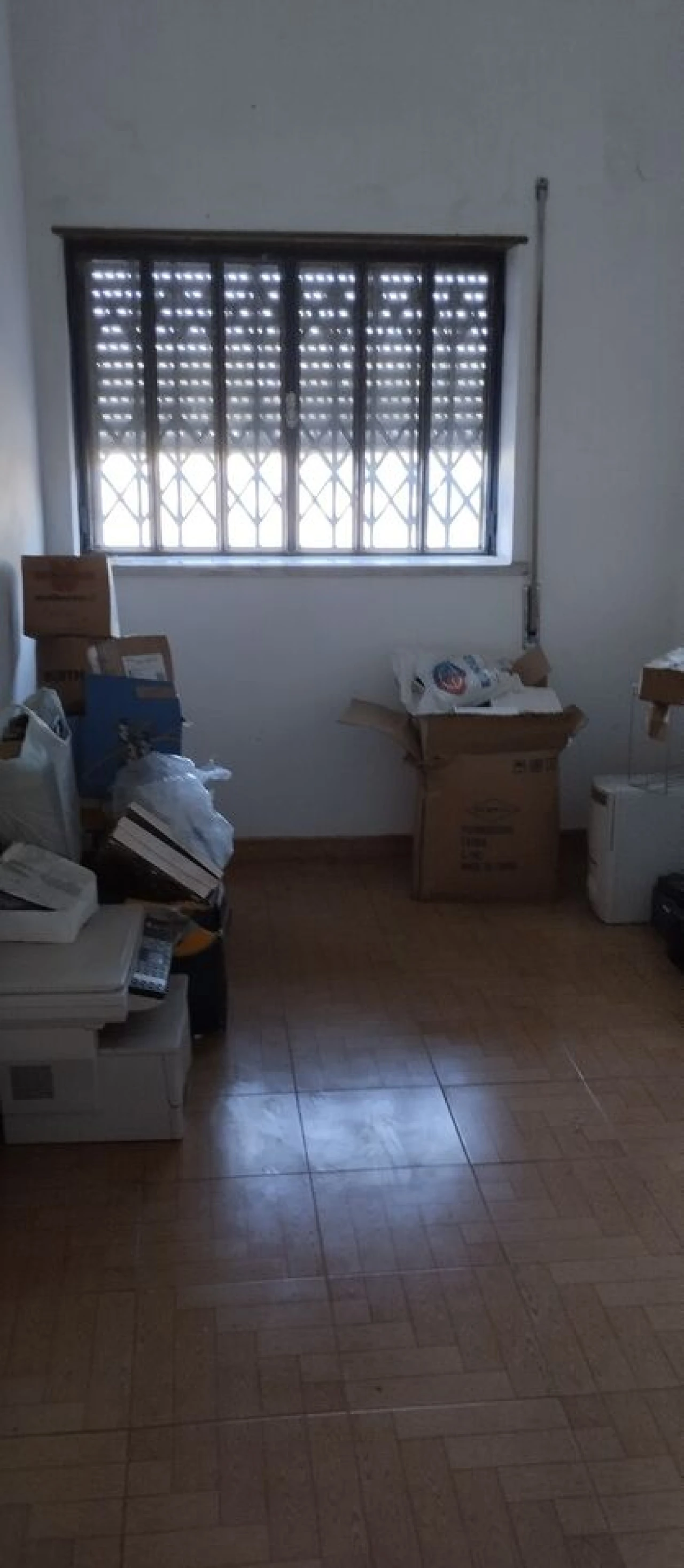 Armazém para Venda em Malhou, Louriceira e Espinheiro Foto 8