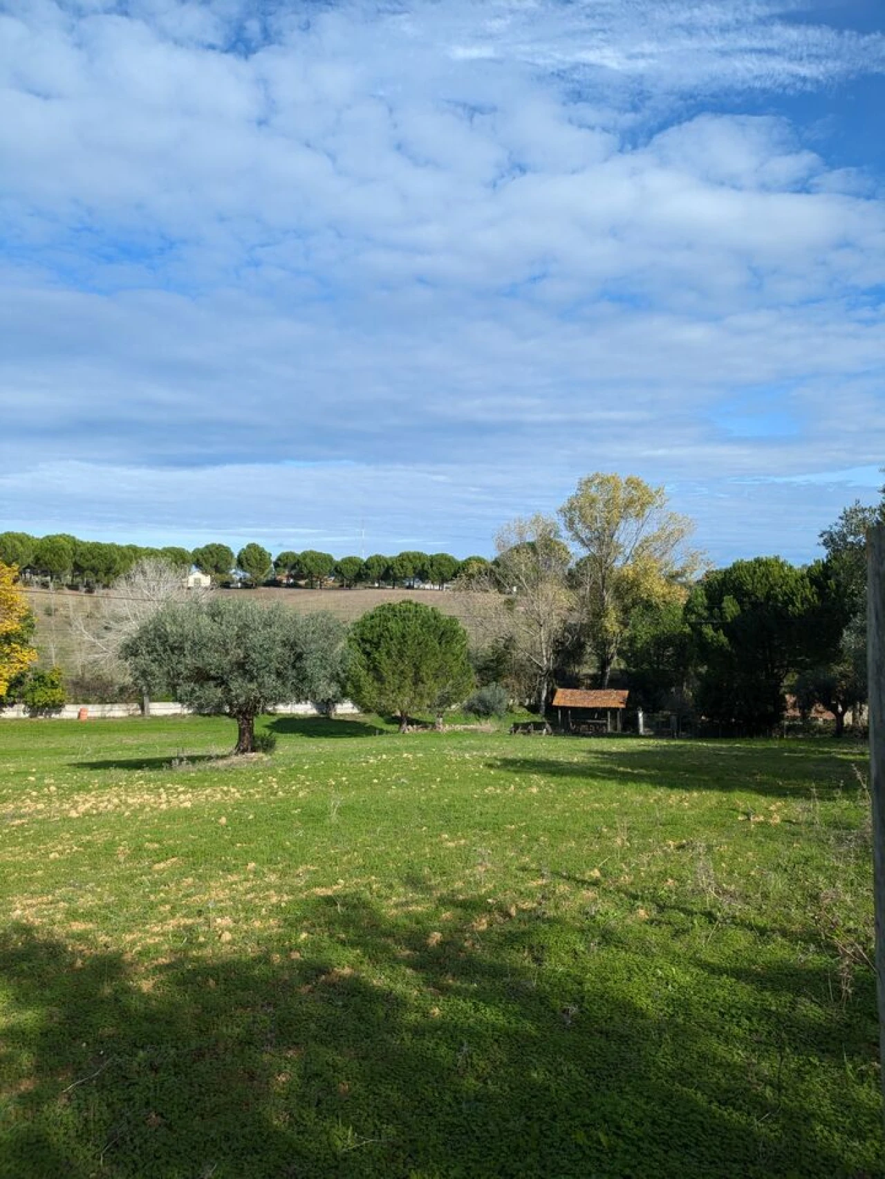 Moradia T4 para Venda em Romeira e Várzea Foto 40
