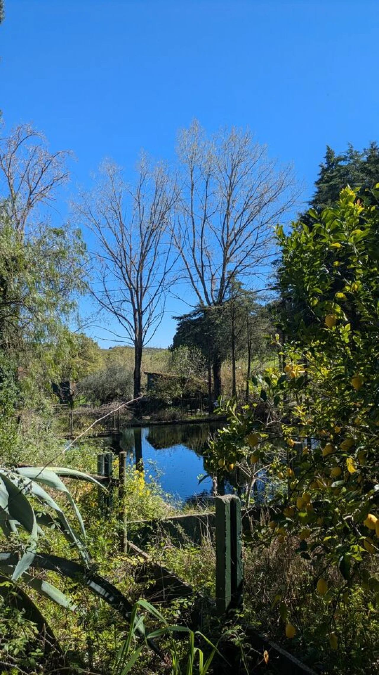 Moradia T4 para Venda em Romeira e Várzea Foto 46