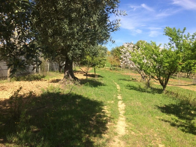 Moradia T4 para Venda em Romeira e Várzea Foto 33