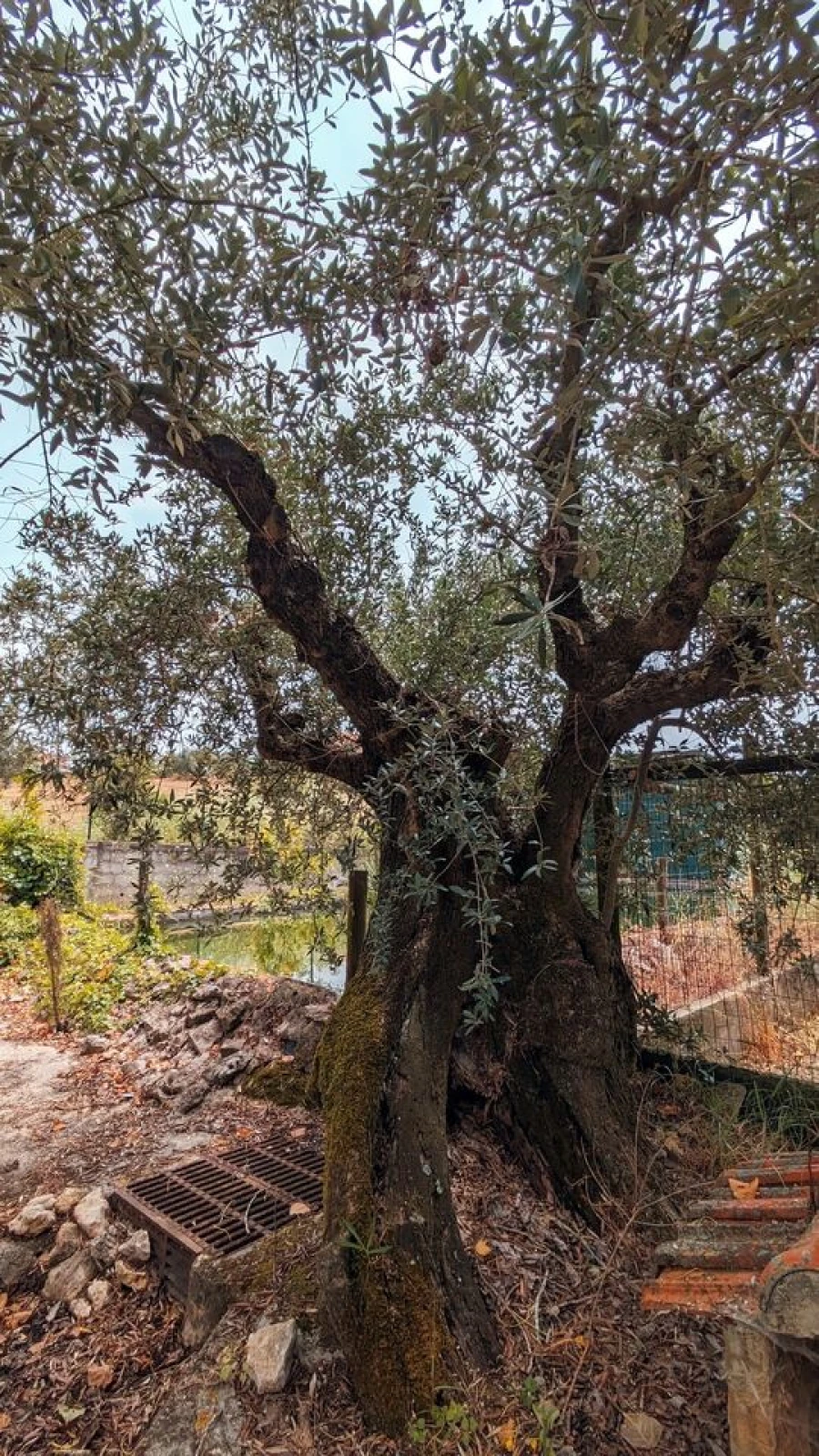 Moradia T4 para Venda em Romeira e Várzea Foto 44