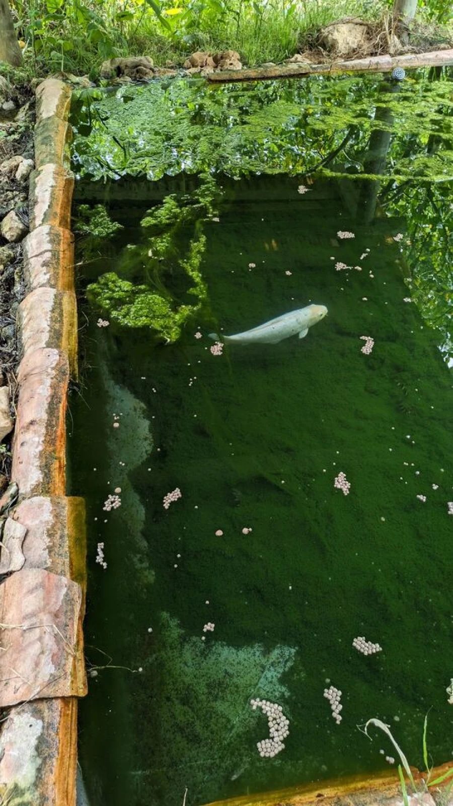 Moradia T4 para Venda em Romeira e Várzea Foto 43