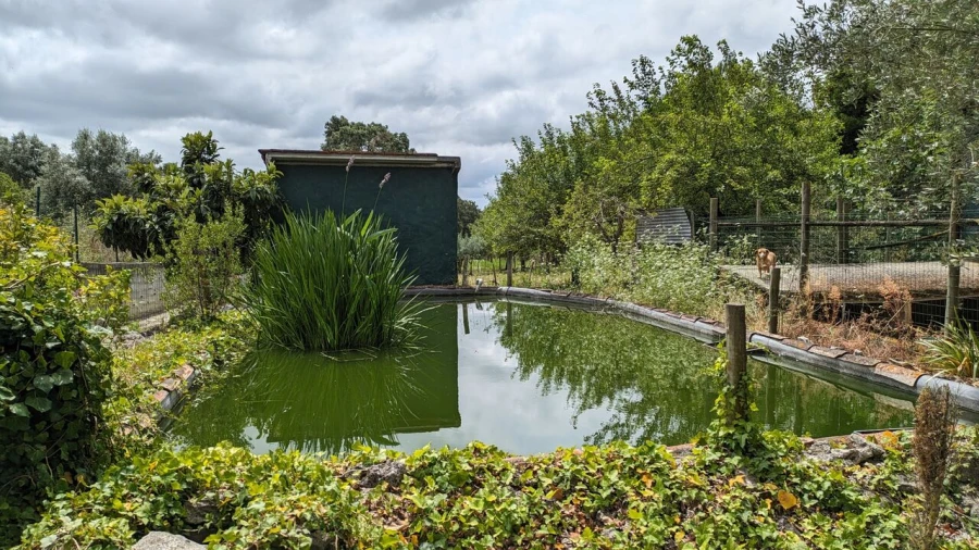 Moradia T4 para Venda em Romeira e Várzea Foto 25