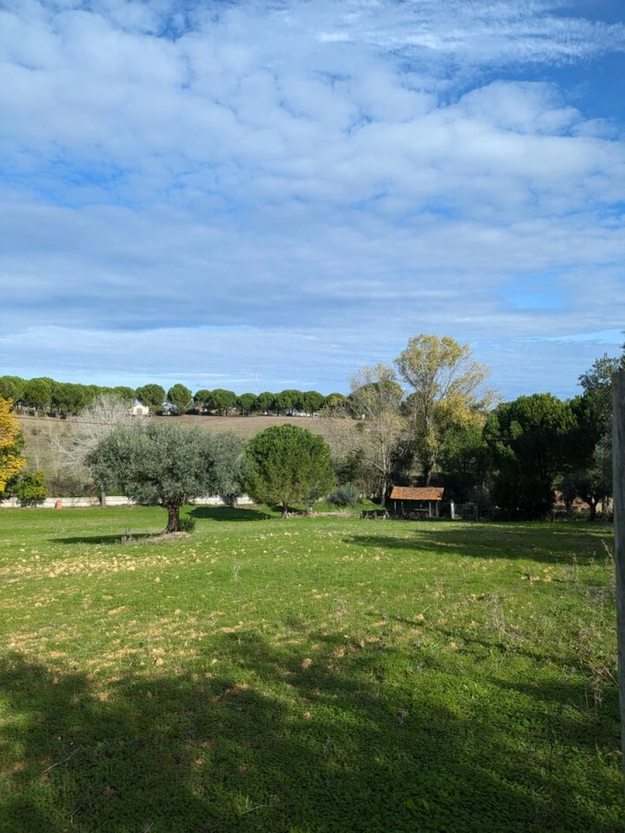 Moradia T4 para Venda em Romeira e Várzea Foto 40