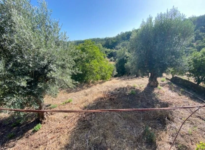 Moradia T4 para Venda em Casais e Alviobeira Foto 9