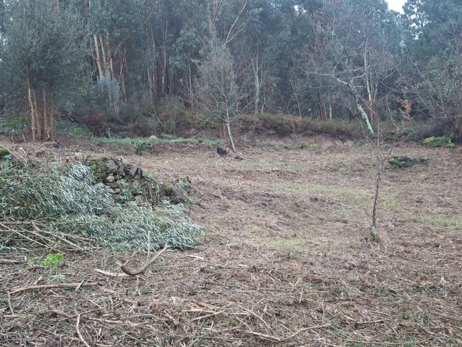 Moradia T2 para Venda em Ceivães e Badim Foto 5