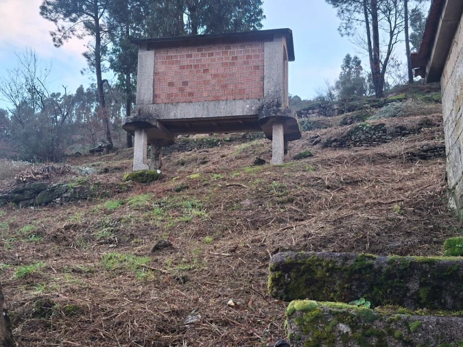 Moradia T2 para Venda em Ceivães e Badim Foto 8