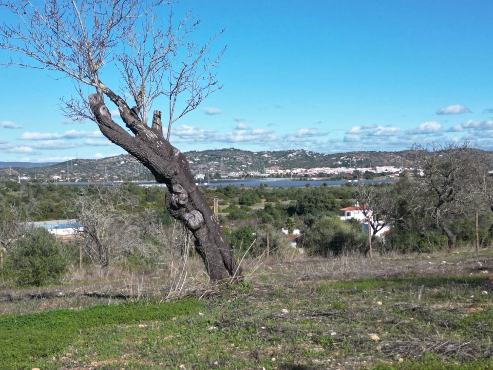 Terreno para Venda em Algoz e Tunes Foto 20