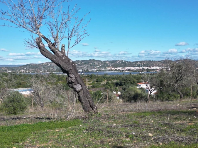 Terreno para Venda em Algoz e Tunes Foto 20