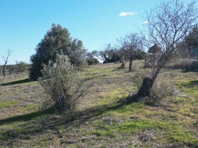 Terreno para Venda em Algoz e Tunes Foto 21