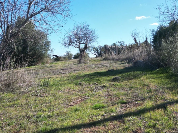 Terreno para Venda em Algoz e Tunes Foto 22