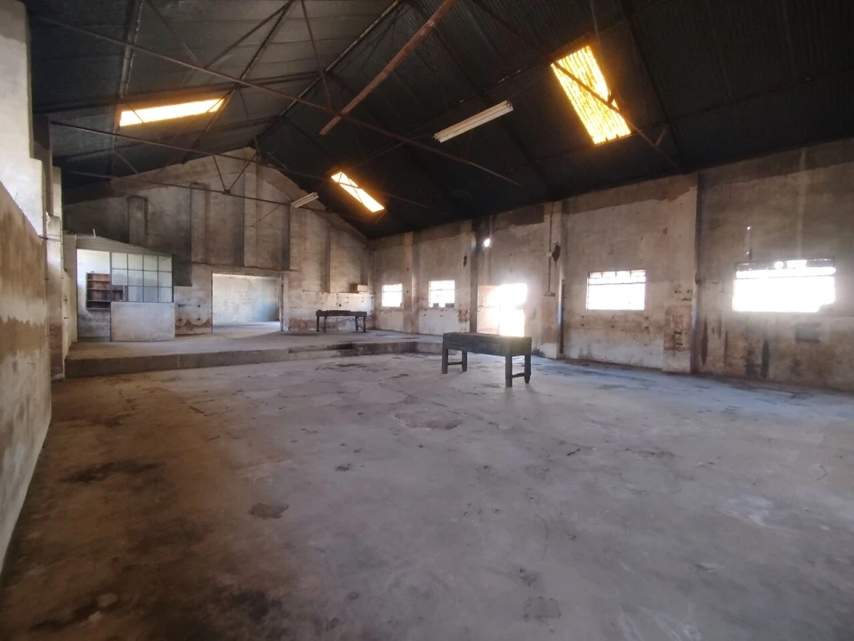 Prédio para Venda em São Miguel do Rio Torto e Rossio Ao Sul do Tejo Foto 8