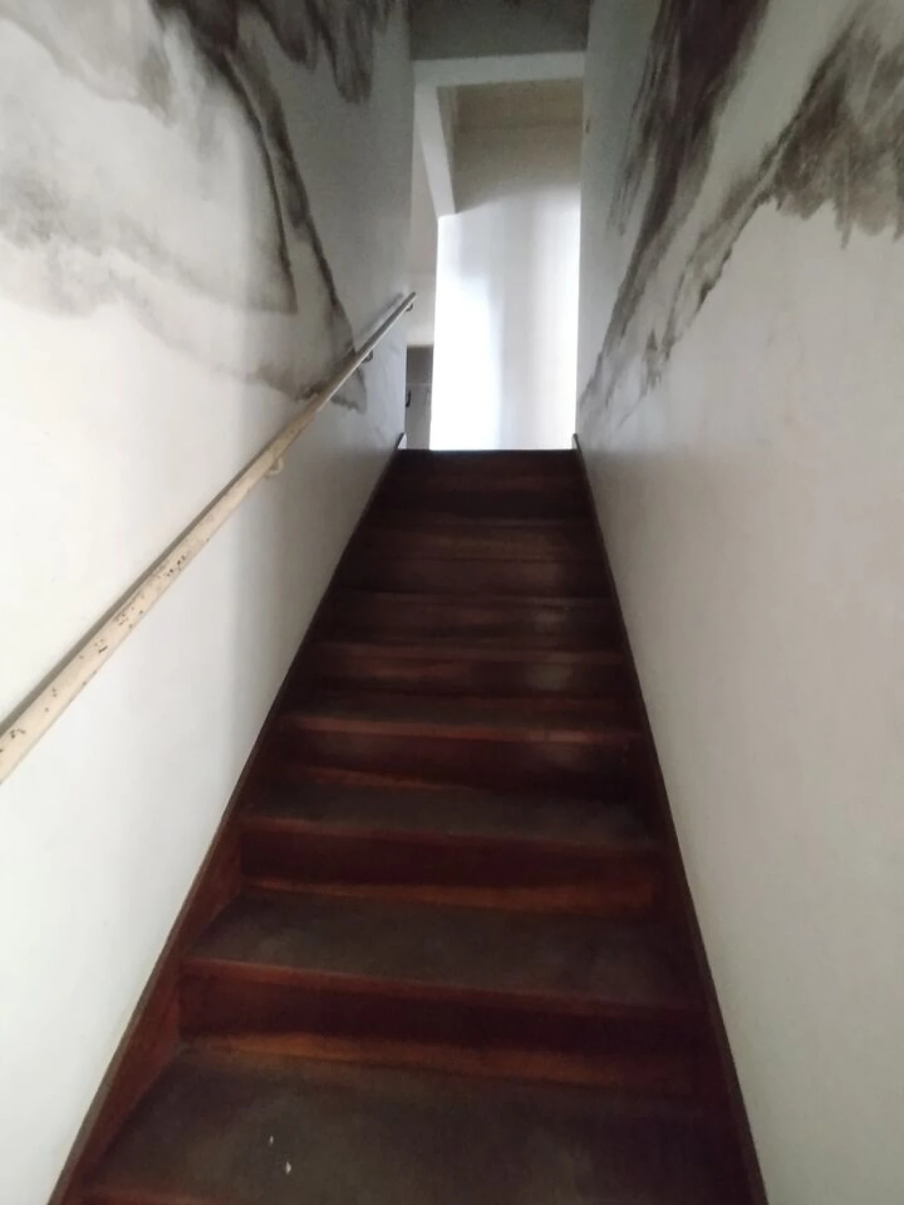 Prédio para Venda em São Miguel do Rio Torto e Rossio Ao Sul do Tejo Foto 37