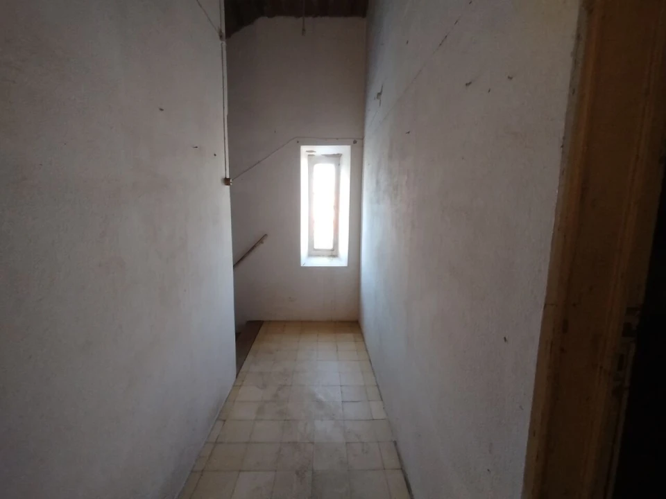 Prédio para Venda em São Miguel do Rio Torto e Rossio Ao Sul do Tejo Foto 70