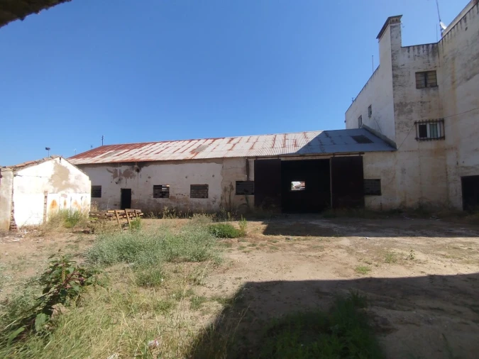 Prédio para Venda em São Miguel do Rio Torto e Rossio Ao Sul do Tejo Foto 5