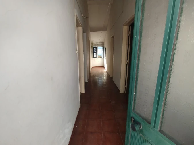 Prédio para Venda em São Miguel do Rio Torto e Rossio Ao Sul do Tejo Foto 46