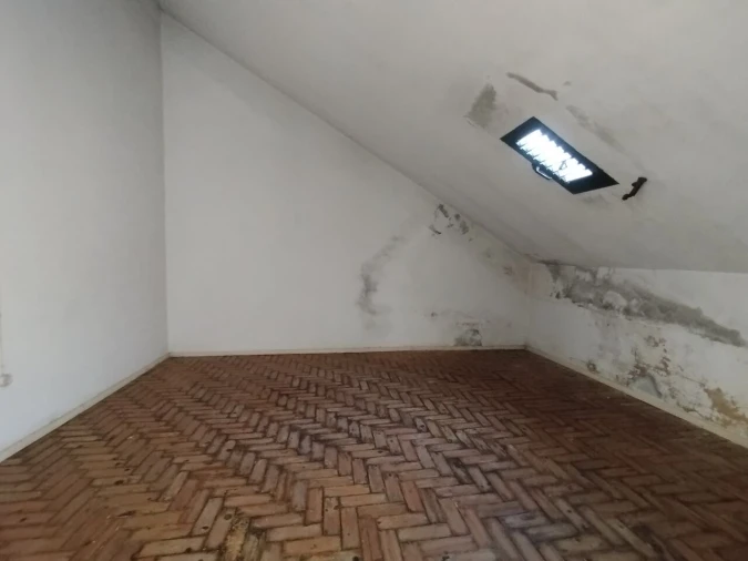 Prédio para Venda em São Miguel do Rio Torto e Rossio Ao Sul do Tejo Foto 49