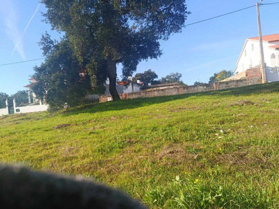 Terreno para Venda em Parreira e Chouto Foto 2