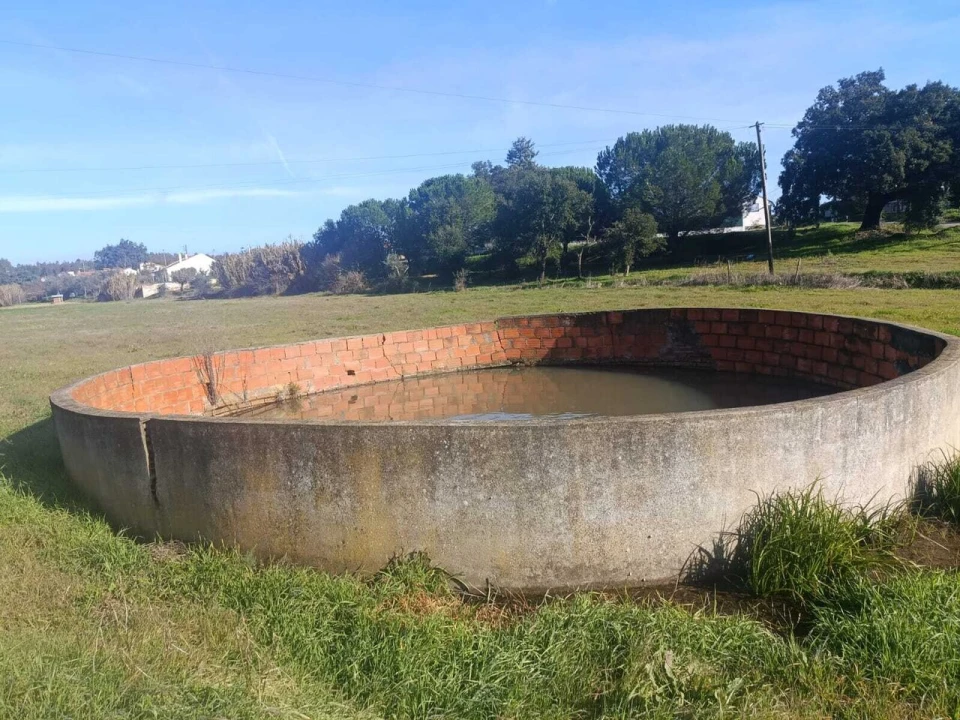 Terreno para Venda em Parreira e Chouto Foto 3