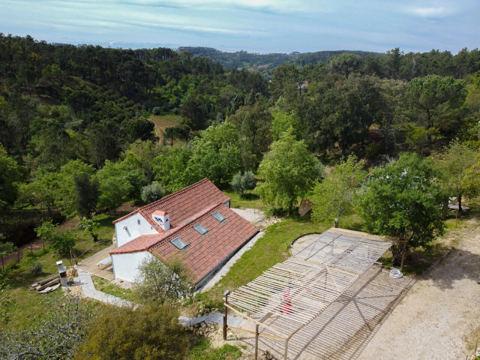 Quinta T10 para Venda em Gondemaria e Olival Foto 14