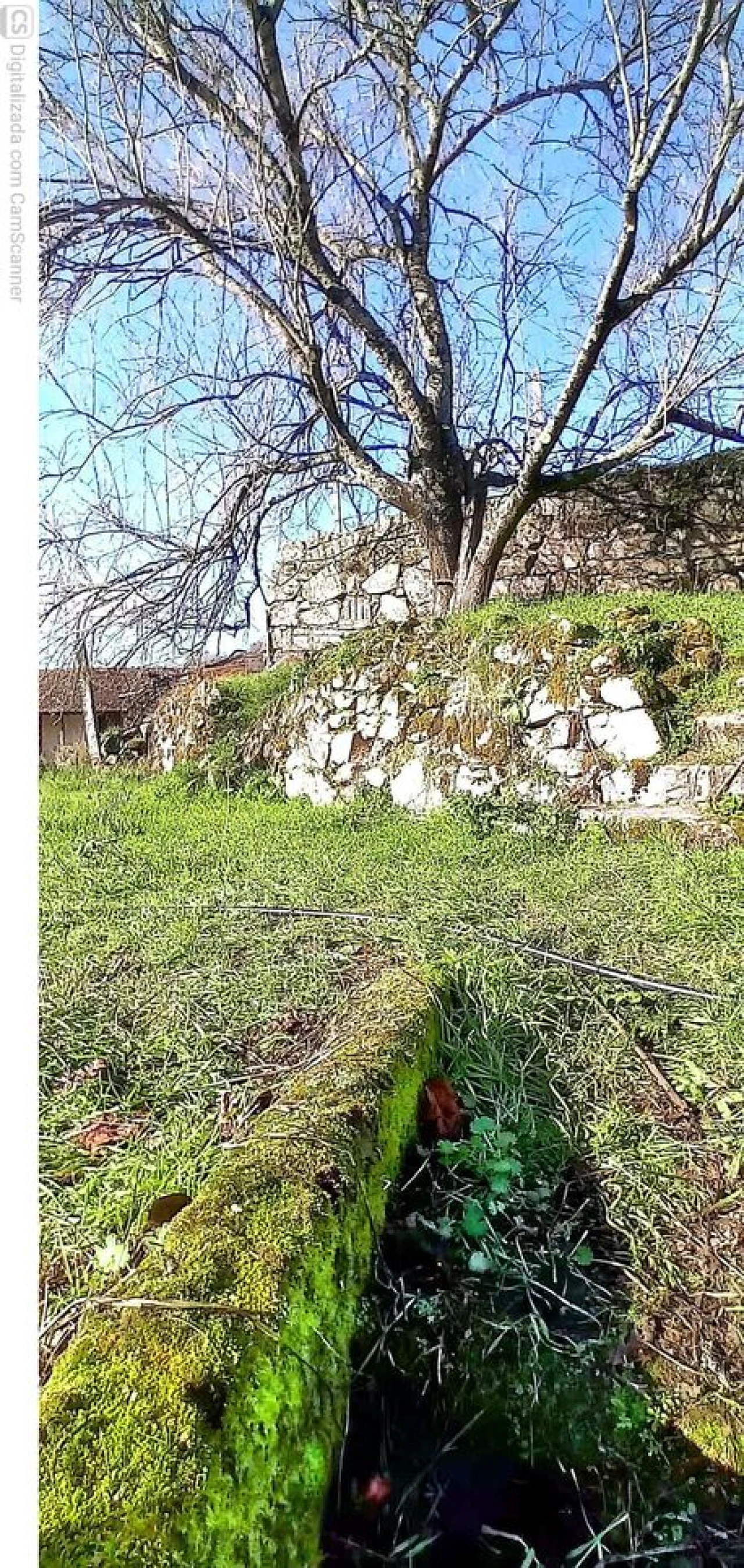 Moradia T2 para Venda em Alvora e Loureda Foto 5