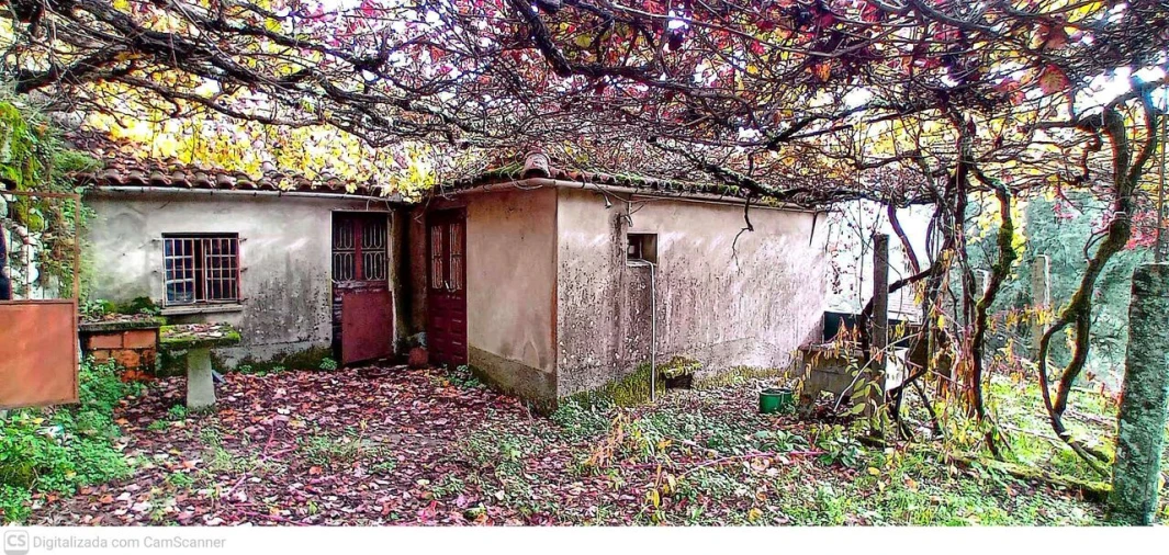 Moradia T2 para Venda em Alvora e Loureda Foto 1