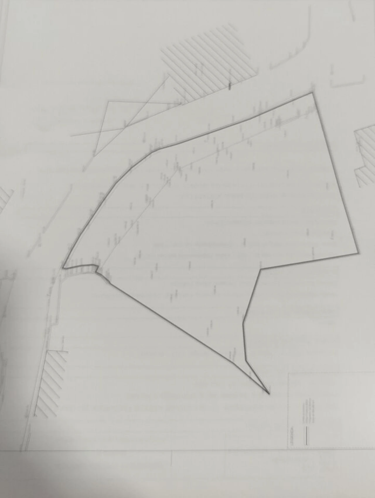 Terreno para Venda em Pinheiro da Bemposta, Travanca e Palmaz Foto 1