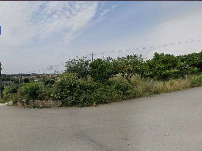 Terreno para Venda em Pinheiro da Bemposta, Travanca e Palmaz Foto 2