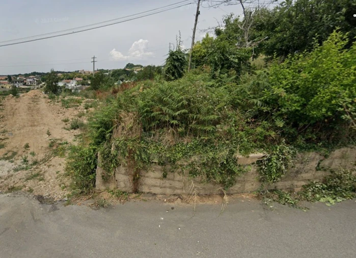 Terreno para Venda em Pinheiro da Bemposta, Travanca e Palmaz Foto 4