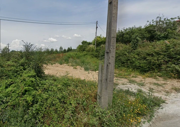 Terreno para Venda em Pinheiro da Bemposta, Travanca e Palmaz Foto 5