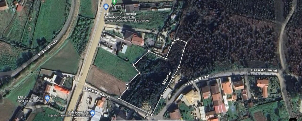 Terreno para Venda em Pinheiro da Bemposta, Travanca e Palmaz Foto 6